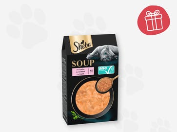Eine köstliche Suppe für deine Katze