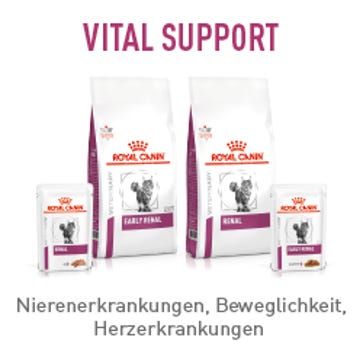 Marken / Royal Canin Veterinary / Diätnahrung Katze