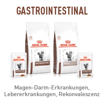 Marken / Royal Canin Veterinary / Diätnahrung Katze