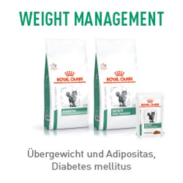 Marken / Royal Canin Veterinary / Diätnahrung Katze