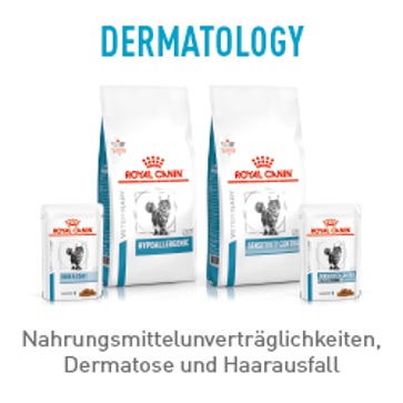 Marken / Royal Canin Veterinary / Diätnahrung Katze
