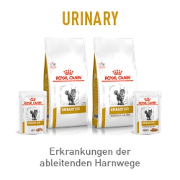 Marken / Royal Canin Veterinary / Diätnahrung Katze