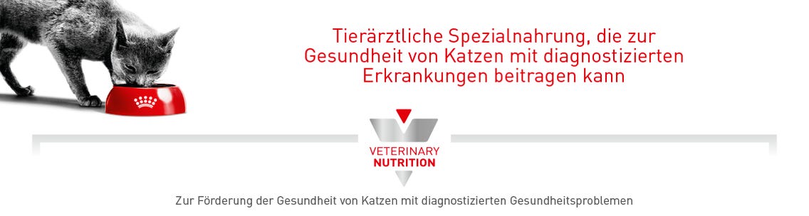 Marken / Royal Canin Veterinary / Diätnahrung Katze