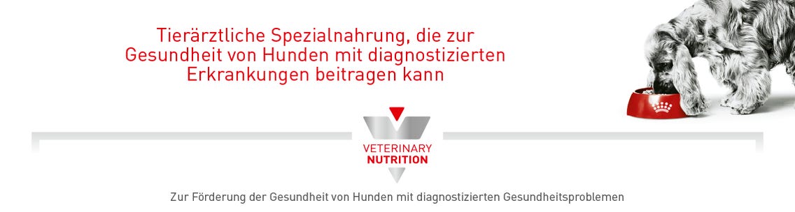 Marken / Royal Canin Veterinary / Diätnahrung Hund