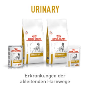Marken / Royal Canin Veterinary / Diätnahrung Hund