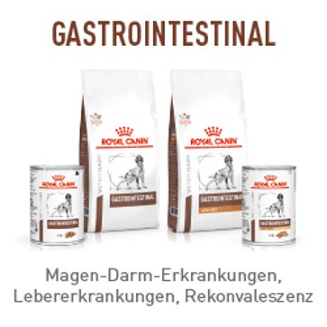 Marken / Royal Canin Veterinary / Diätnahrung Hund