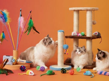 Speelgoed voor je kat