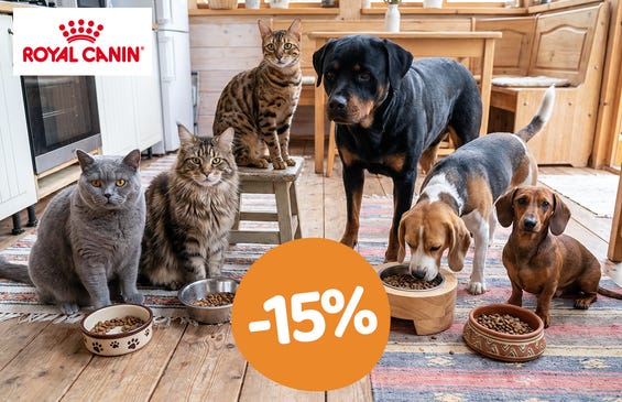 -15% sui prodotti ROYAL CANIN!