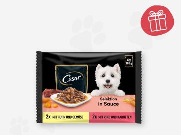2 in 1 Nassfutter