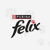 FELIX