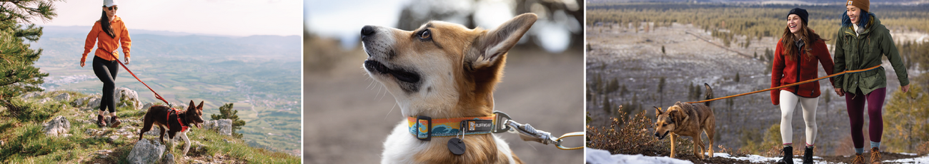 Marken / Ruffwear / Halsbänder und Leinen