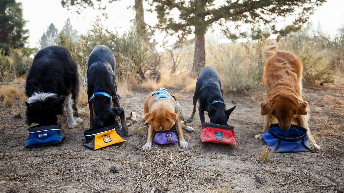 RUFFWEAR