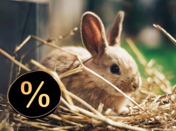 Hamster, Zwergkaninchen & Co.