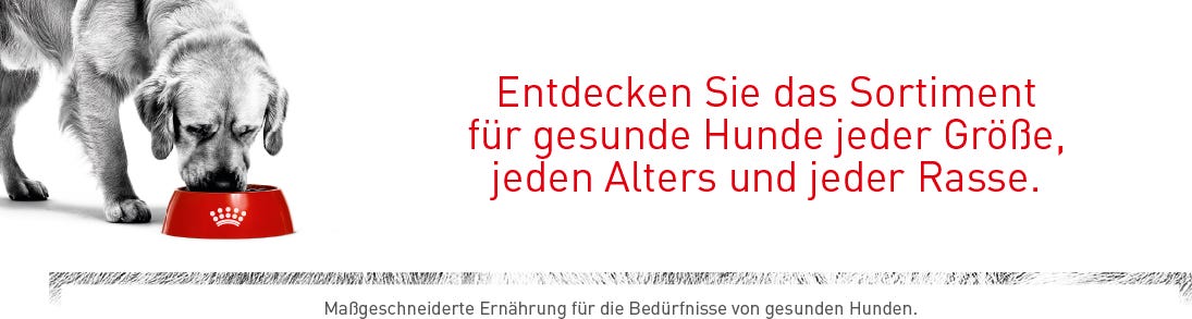 Marken / Royal Canin / Hund