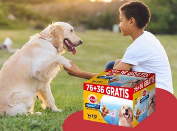 Spóroljon most 25%-ot a multipack kiszereléssel!