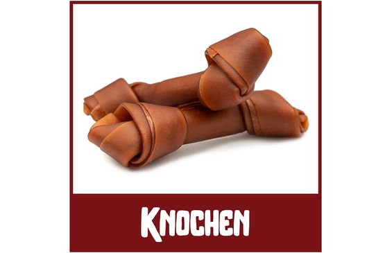 Knochen