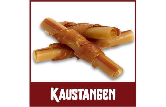 Kaustangen