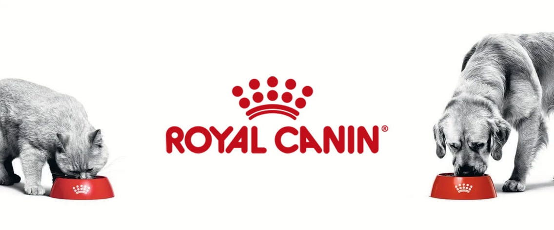 Kampagnen / Royal Canin Feuchtnahrung