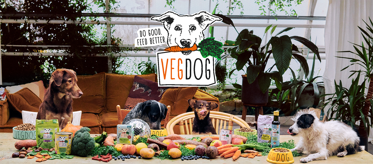 La storia di VEGDOG