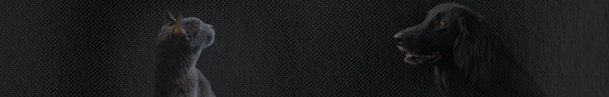 *Angebote gültig bis inkl. 01.12.2025 auf ausgewählte Artikel. Kein Gutscheincode erforderlich.