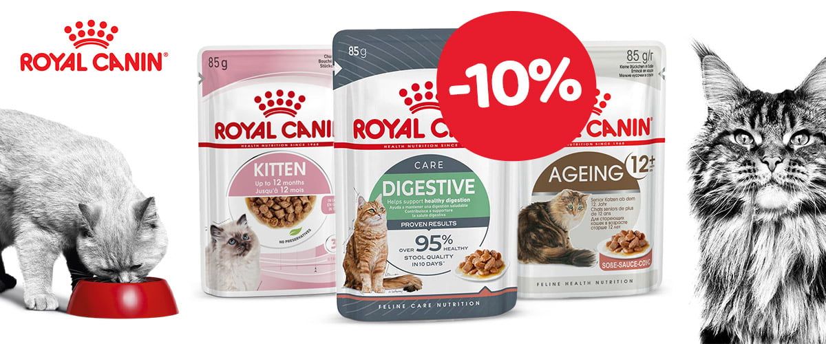 Kampagnen / Royal Canin - Katze Nass