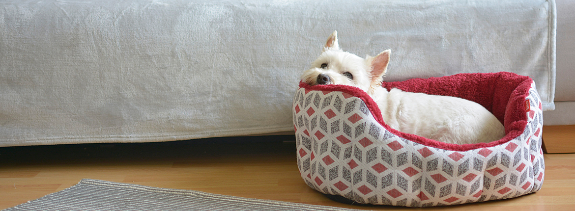 Winterzeit = Kuschelzeit!