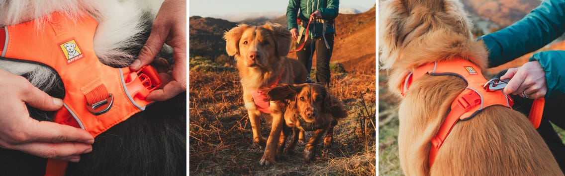 Marken / Ruffwear / Geschirre