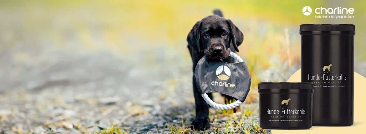 Gratis frisbee van CharLine