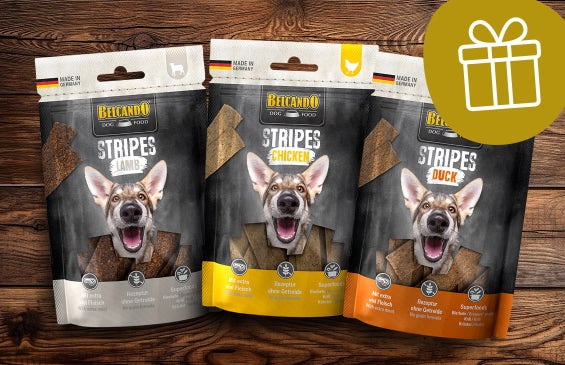 Stripes di Belcando® gratis!