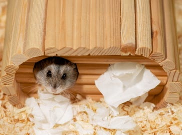 Cosy hideaways for more well-being