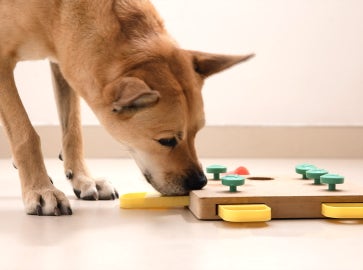 Spiel & Spaß mit Köpfchen