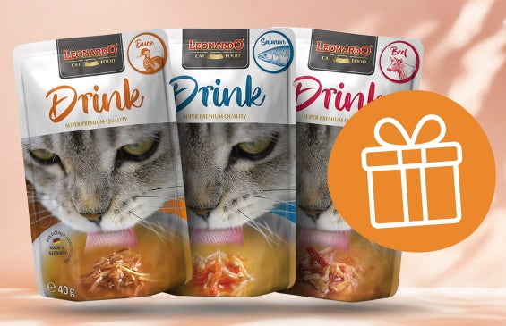Majhen bonus za veliko veselje! 🐾