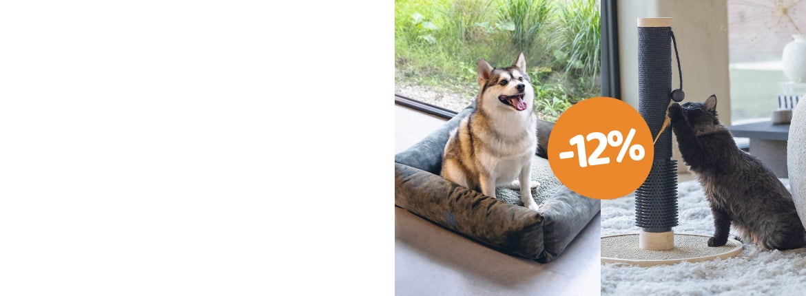Spiel, Spaß & Stil für Katzen und Hunde!