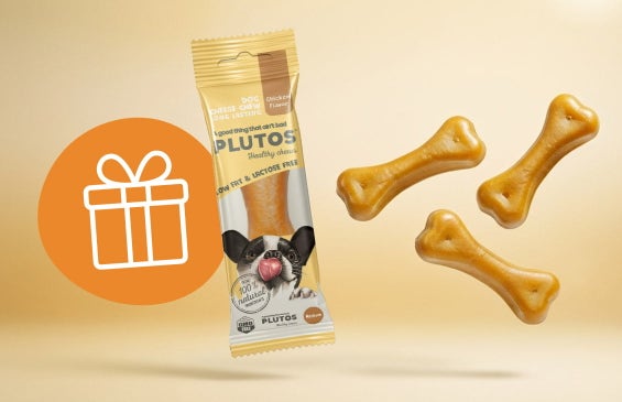 Gratis Plutos-Kauknochen!