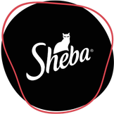 Sheba