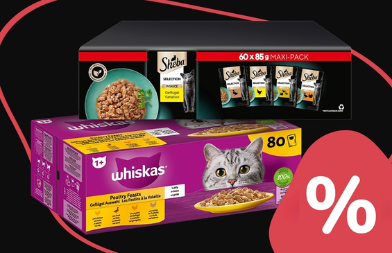 Für glückliche Samtpfoten