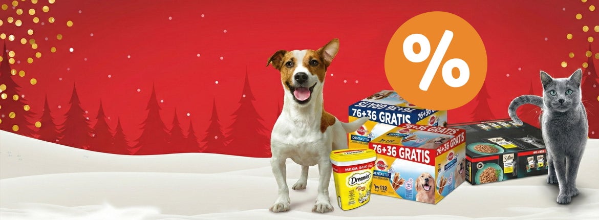 Cadeau's voor iedereen