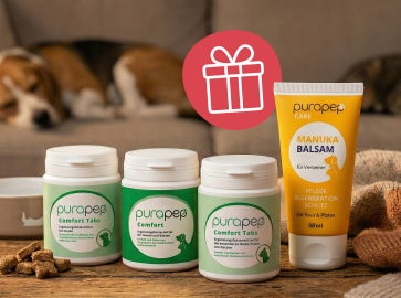 🎁 Un regalo di Natale da purapep