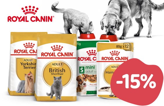 Beste Qualität für deinen Liebling – jetzt 15% sparen!