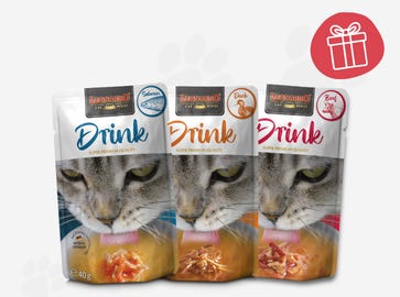 Kostenloser Leonardo Drink