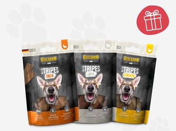 Der ideale Snack für zwischendurch