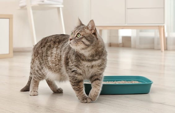 Hygiene leicht gemacht