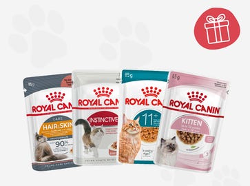 Goodie for Your Cat!