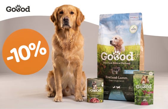 Goood News - 10% popust!