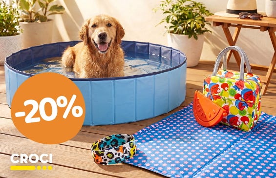 Coole Deals für heiße Pfoten!