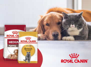 Royal Canin ist jetzt auch bei uns erhältlich!