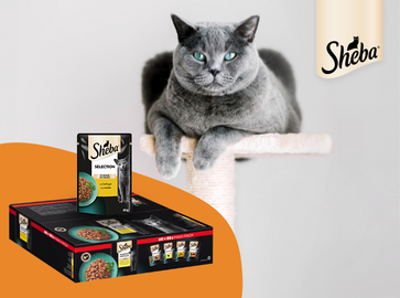 Sheba Maxi Pack: Čisti užitek za vesele mačke!