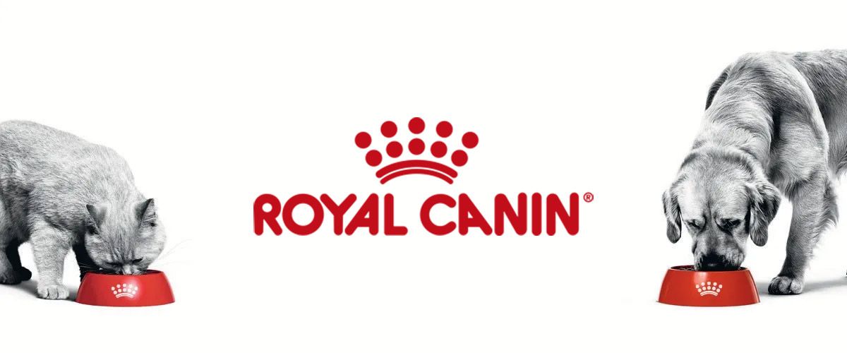 Kampagnen / Royal Canin Feuchtnahrung