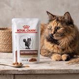VET-Futter für Katzen