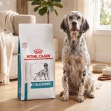 VET-voer voor honden